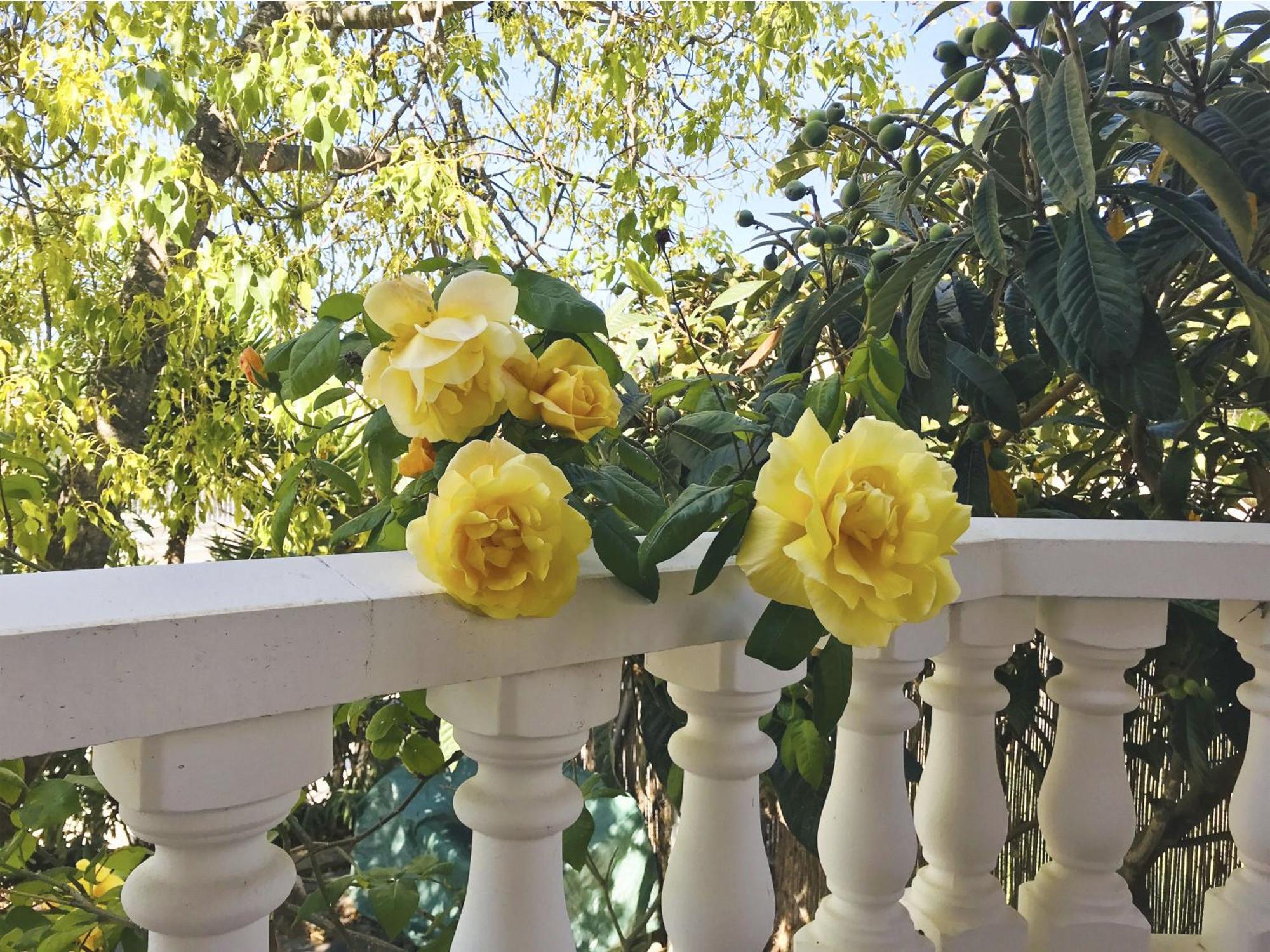 Les Moreres De Sitges, Mediterranean-style Family Escape Villa *